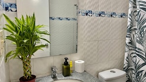 A bathroom with a sink, mirror, toilet, and a potted plant.