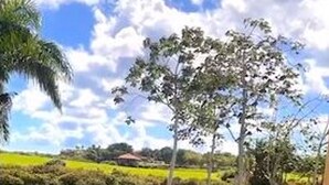 A view of a golf course with a clear sky and a few clouds. - Srvittinivillas Aptla/ Best View/ Fam/couple/ Team/ Work Tr/ Casa de Campo Rv (La Romana)