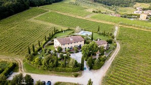 A large estate with a main building surrounded by vineyards, a swimming pool, and a well-maintained garden. - Elisa Farmhouse Apartment in Wine Resort (Lucca)