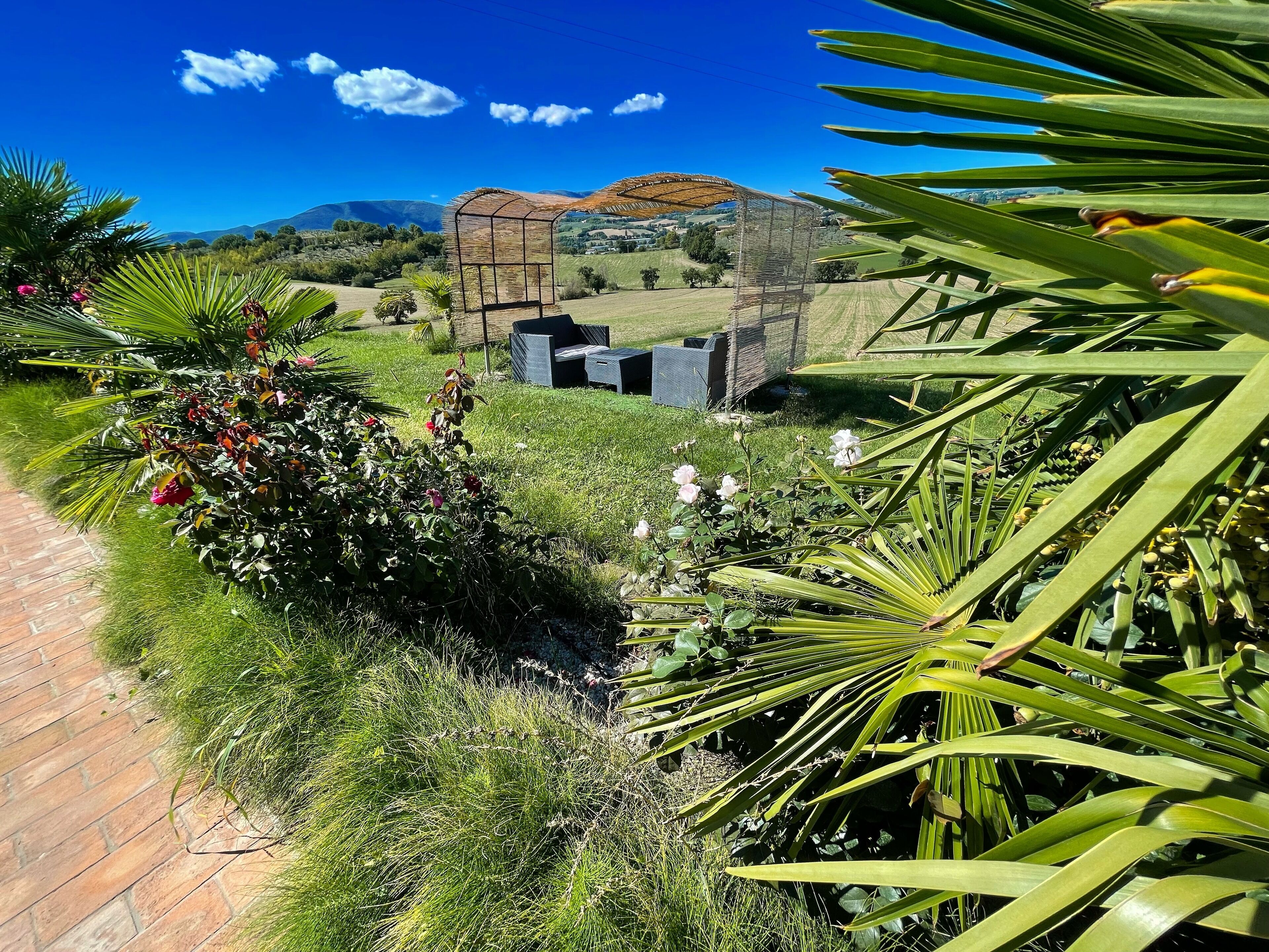 A garden with a brick pathway, a pergola, and a view of distant hills.
