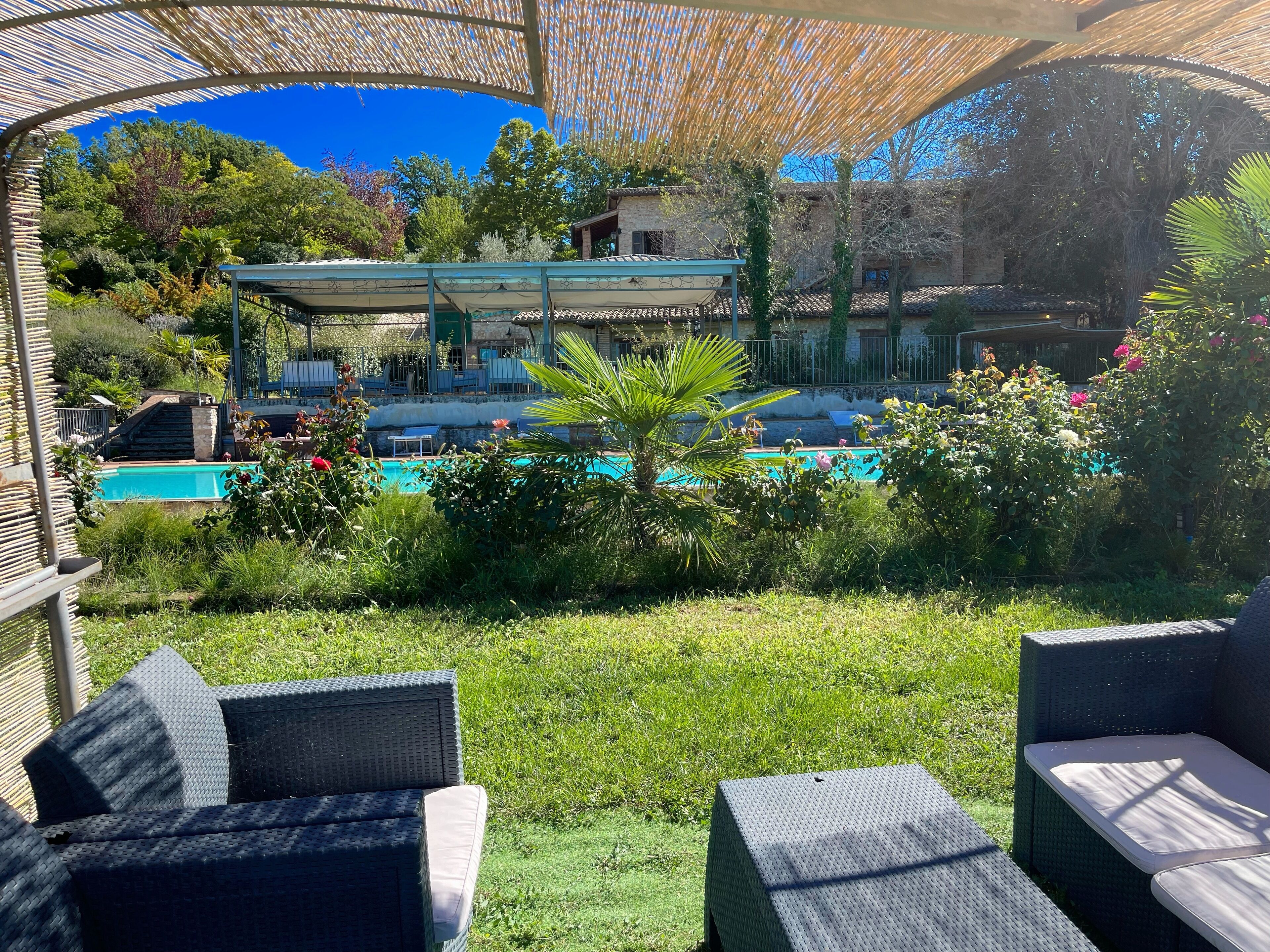 A pool area with a pergola, lounge chairs, and a view of a building with a tiled roof.