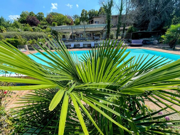 Hồ bơi ngoài trời 