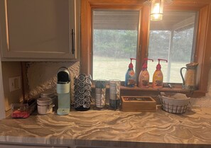 Interior - Ann Arbor’s Countryside Dome (Ann Arbor)