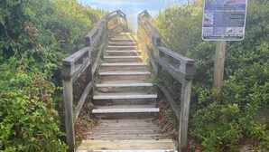 Eine Holztreppe führt zu einer höheren Ebene, umgeben von dichtem Grün, mit einem Schild auf der rechten Seite.
