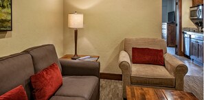 TV, fireplace, DVD player, video library