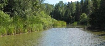 Quiet Cabin on the Thunder Bay River
