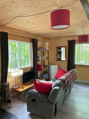 Älytelevisio, kirjoja