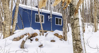 Cozy cabin Fleur de Lys