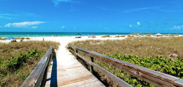 Camastros y toallas de playa 