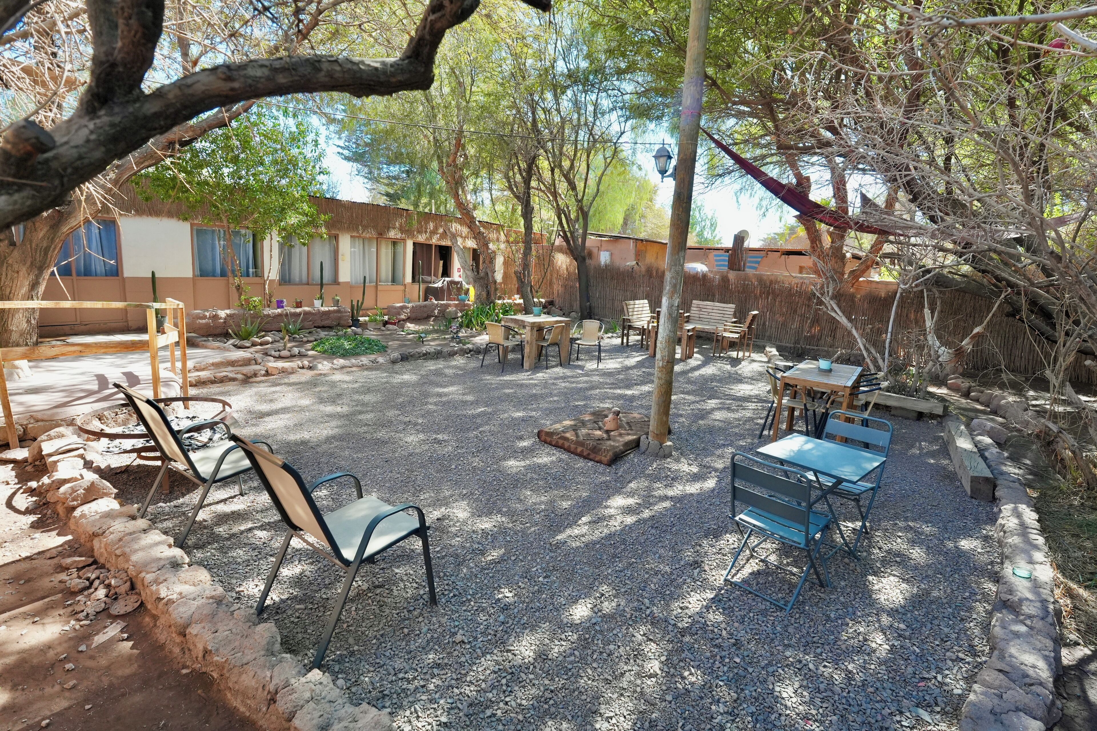 Foto - Vientos - La Yareta