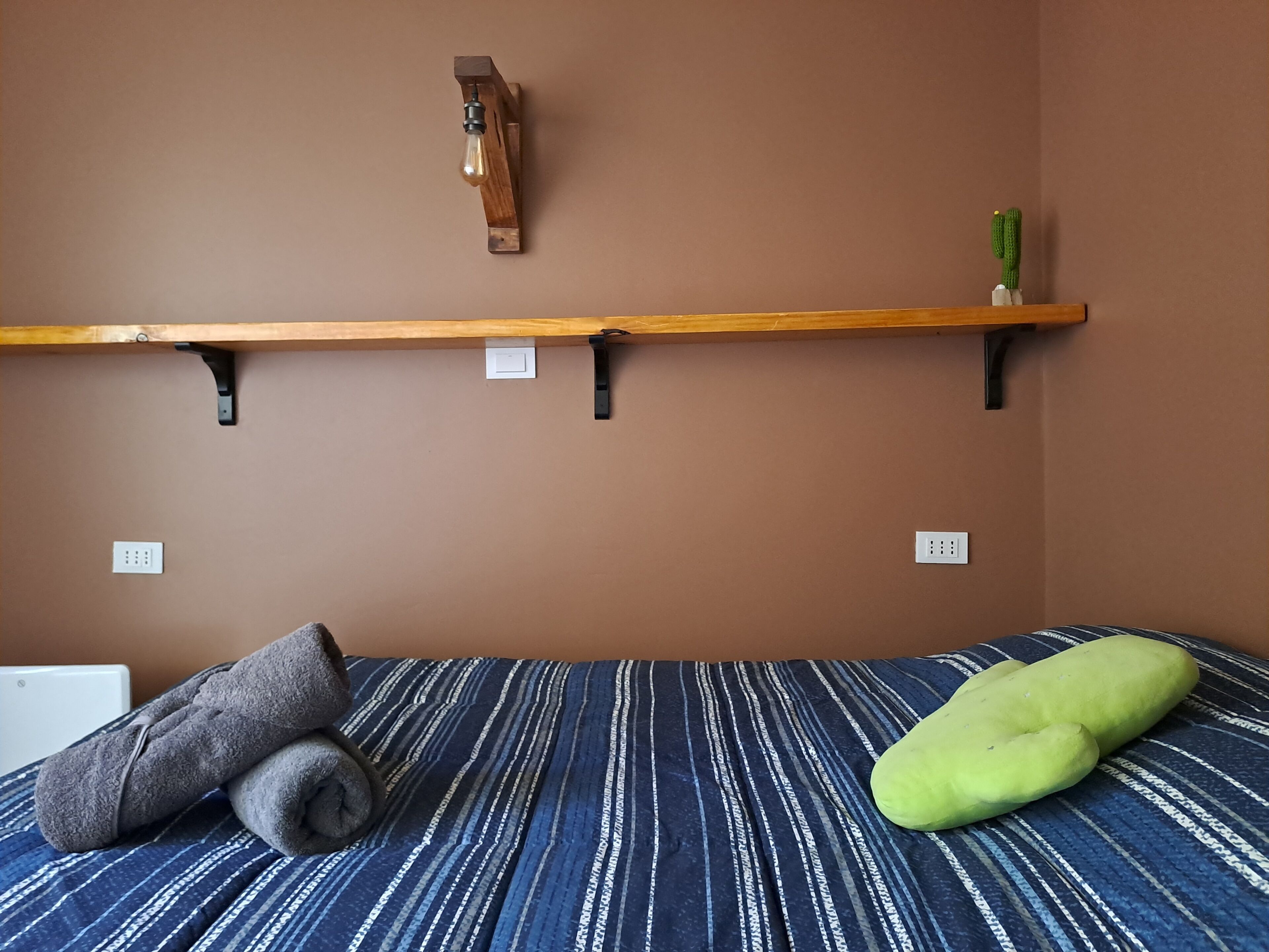 A room with a bed, a wooden shelf with a light fixture, and a cactus on the wall.