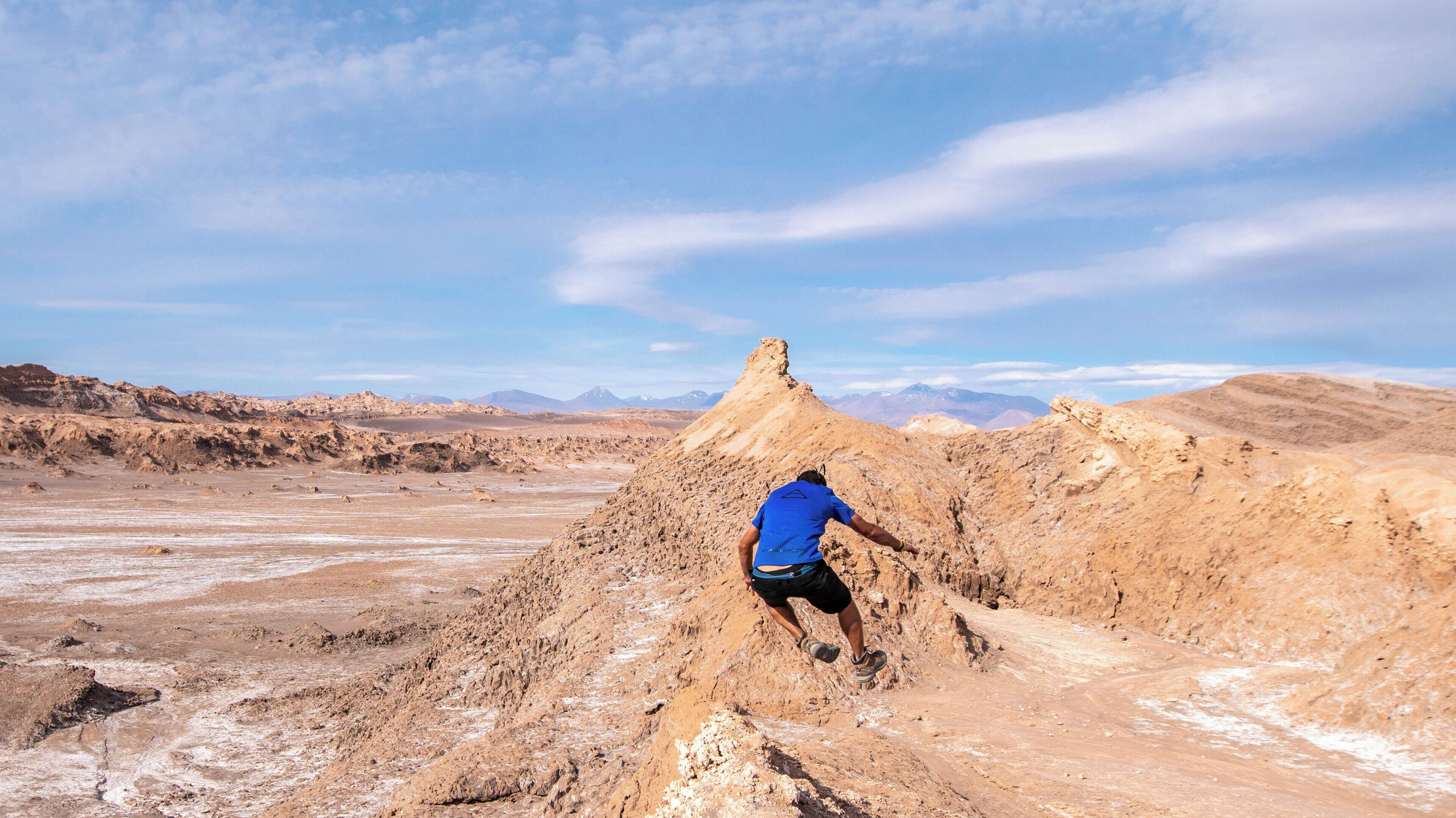 Photo - Vientos - La Yareta