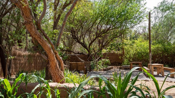 A naturalistic outdoor area with wooden benches and a dirt path surrounded by trees and plants. - Vientos - La Yareta (San Pedro de Atacama)