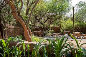 A naturalistic outdoor area with wooden benches and a dirt path surrounded by trees and plants. - Vientos - La Yareta (San Pedro de Atacama)