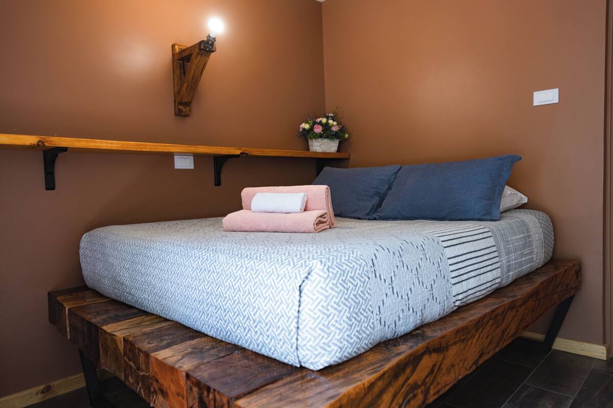 A bed with a wooden platform, a wall-mounted shelf with a plant, and a wall-mounted light fixture.