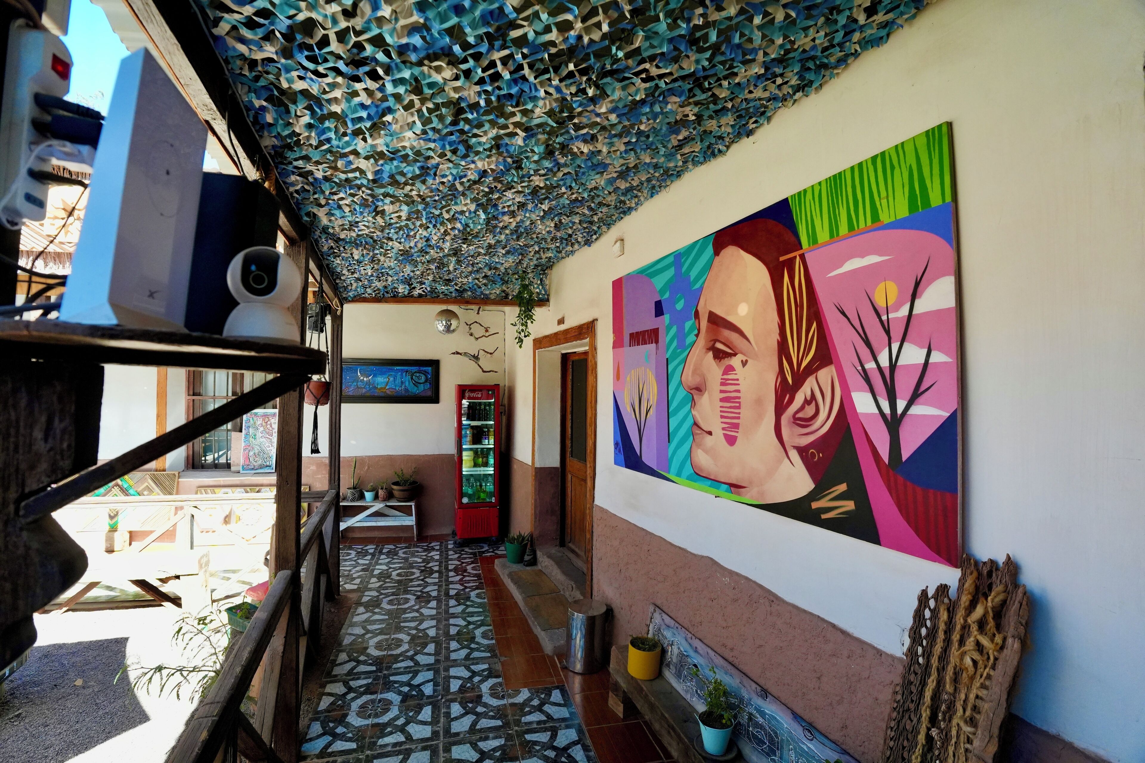 Foto - Vientos - La Yareta