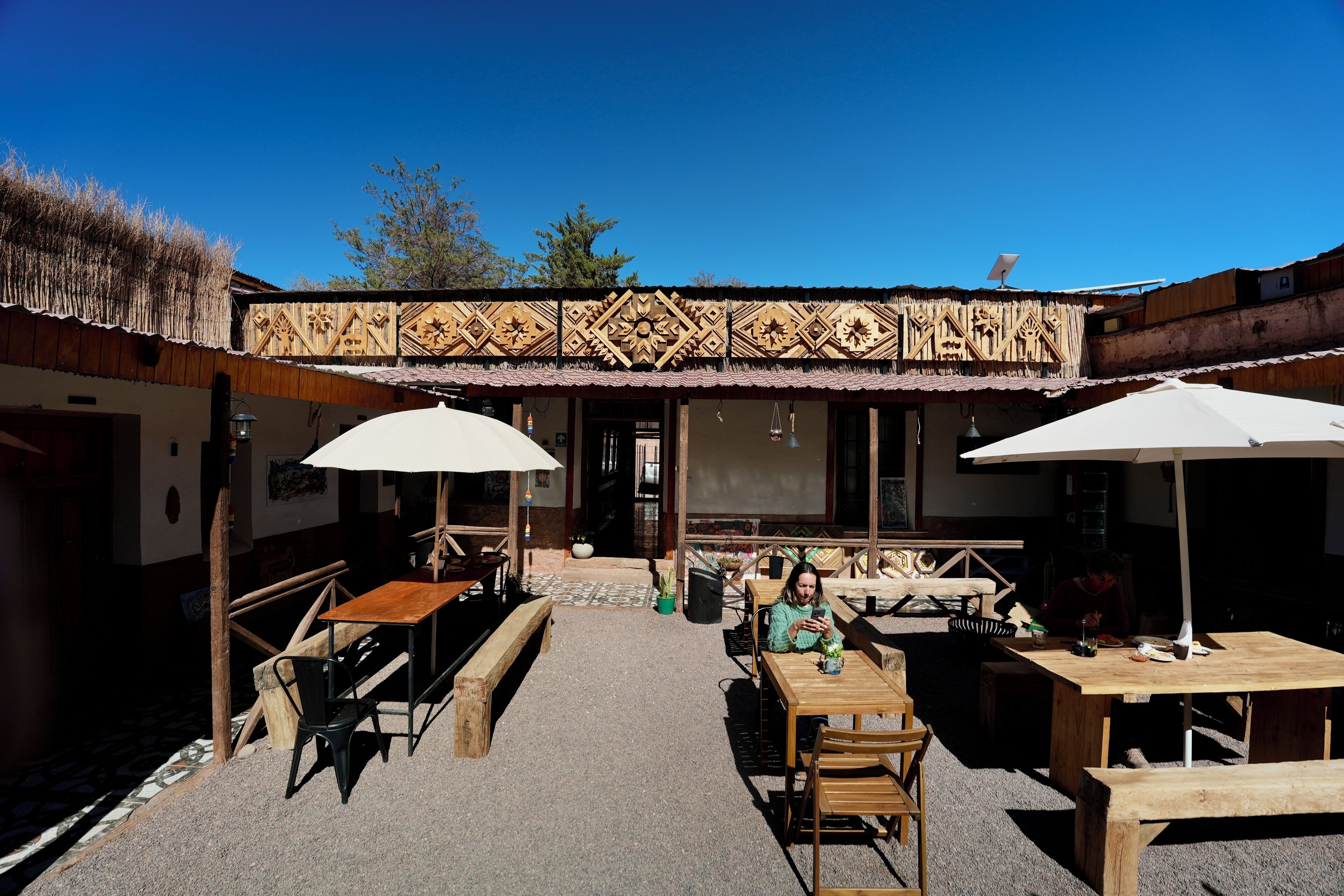 Foto - Vientos - La Yareta