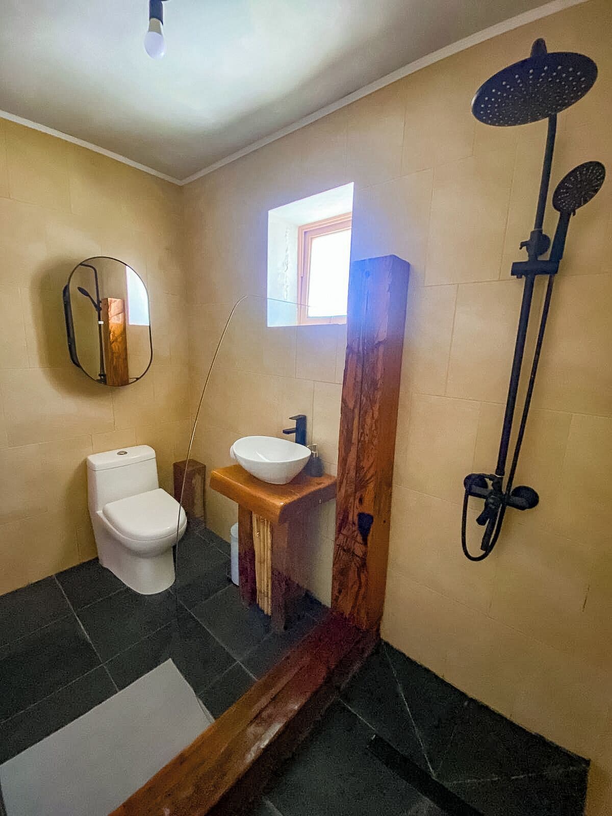 A bathroom with a toilet, a sink, a mirror, and a shower.