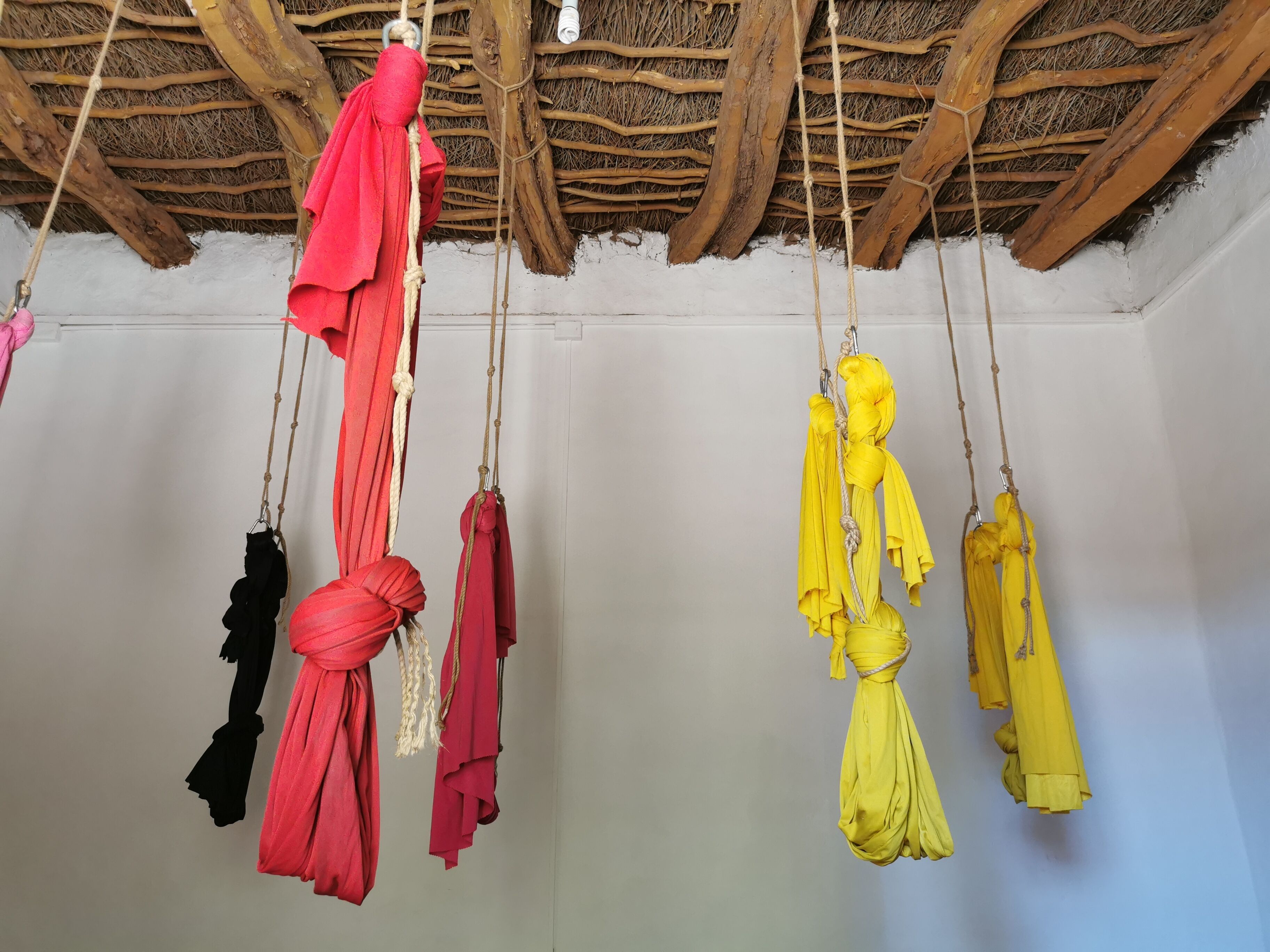 Foto - Vientos - La Yareta