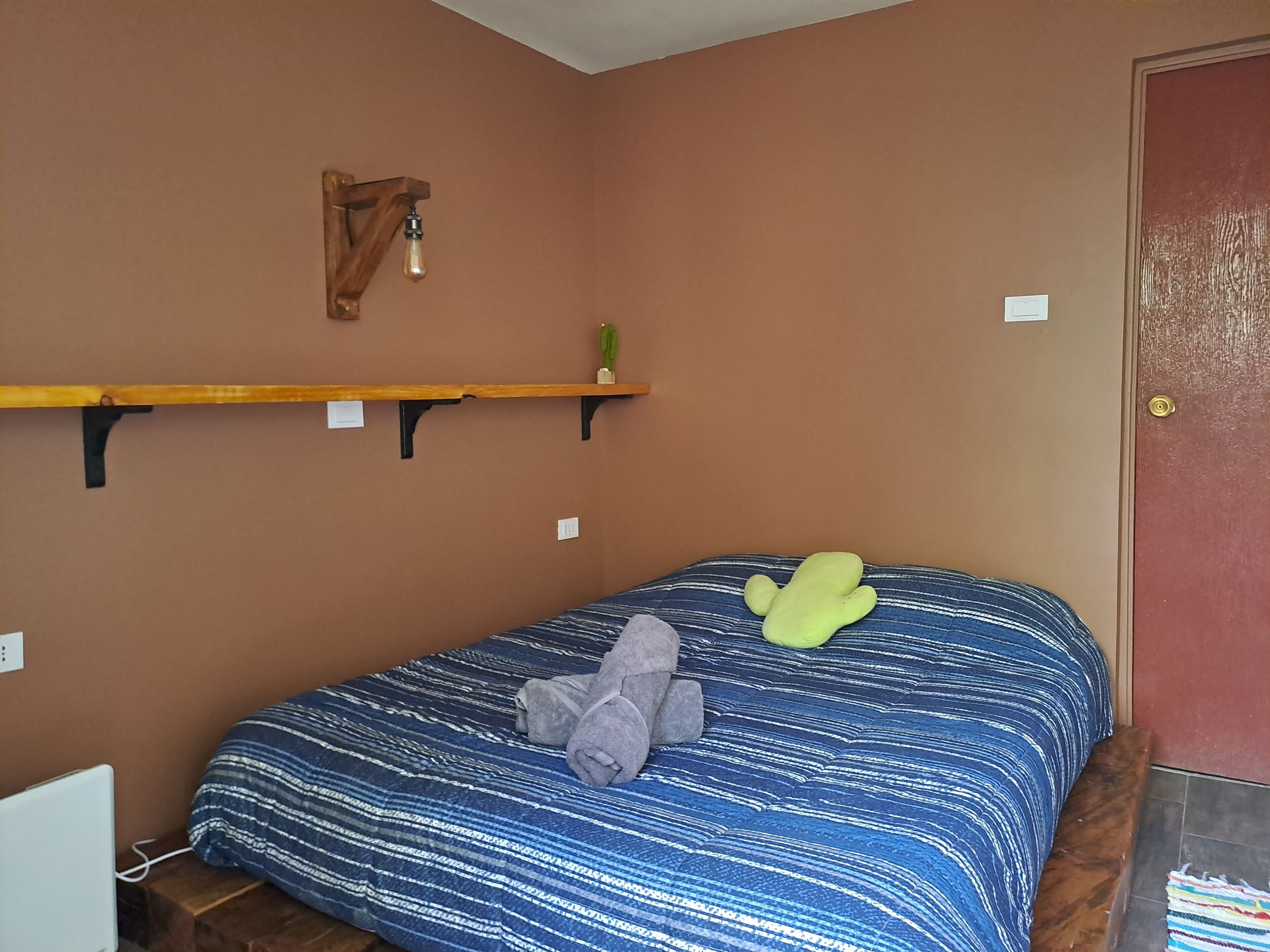 Une chambre à coucher avec un lit, une étagère en bois, un cactus et une porte.