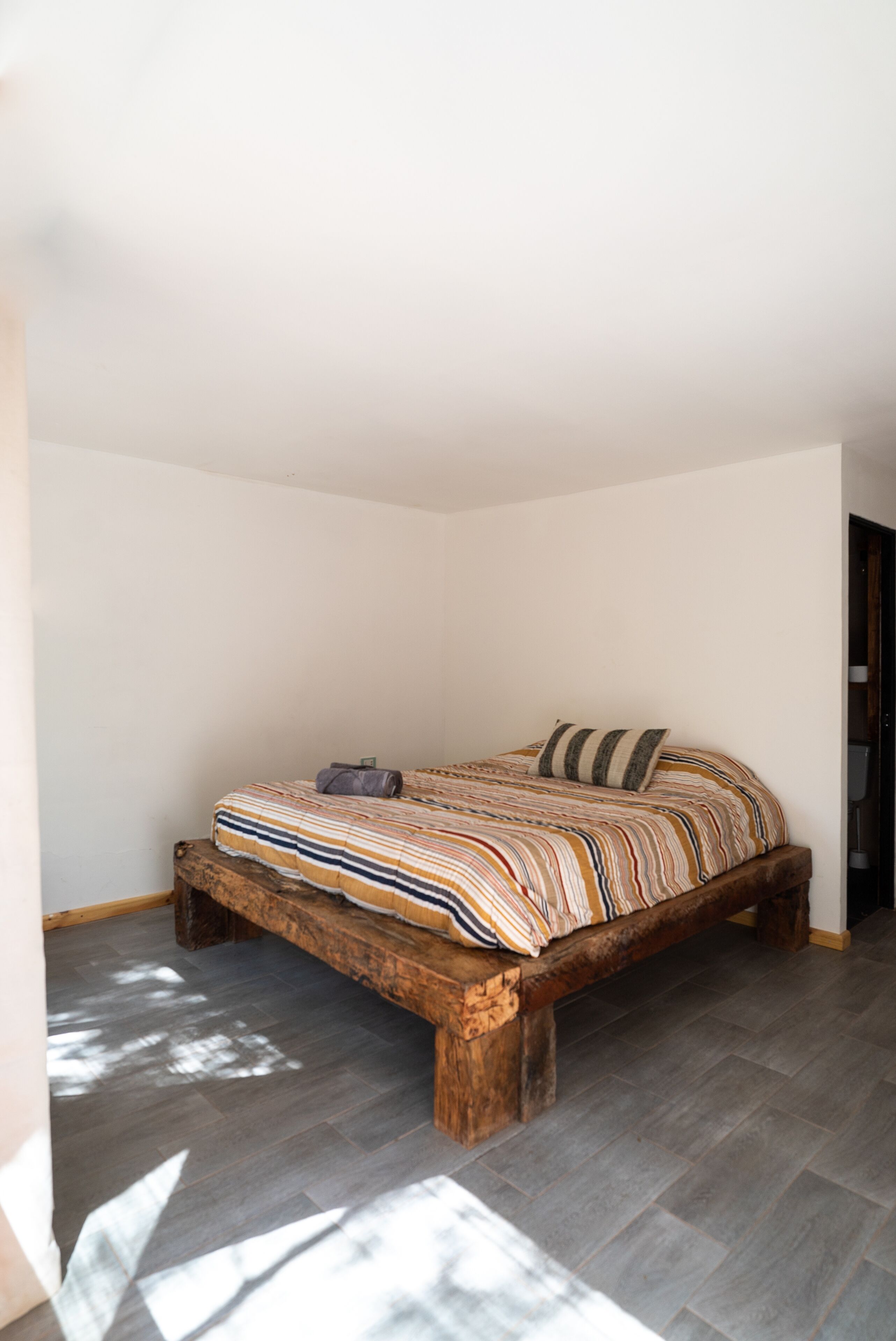 Foto - Vientos - La Yareta