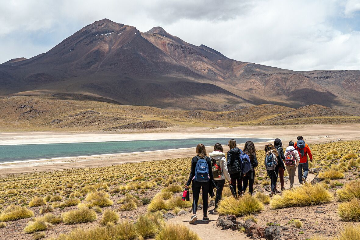 Foto - Vientos - La Yareta