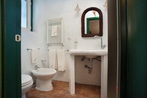 Combined shower/bathtub, bidet