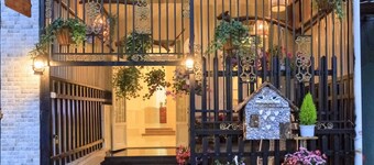 Chivo House - The House Of Peace