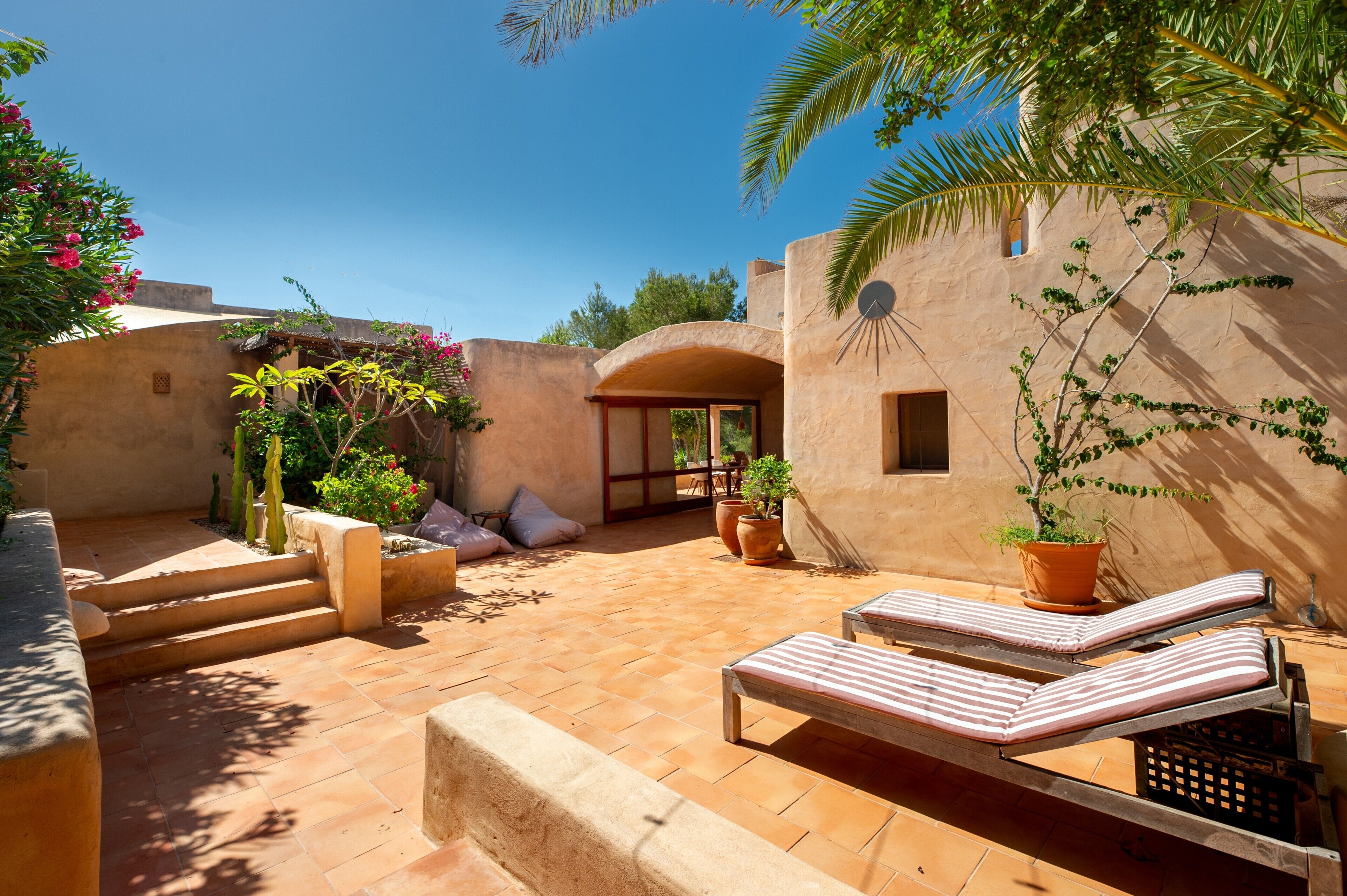 テラス / パティオ