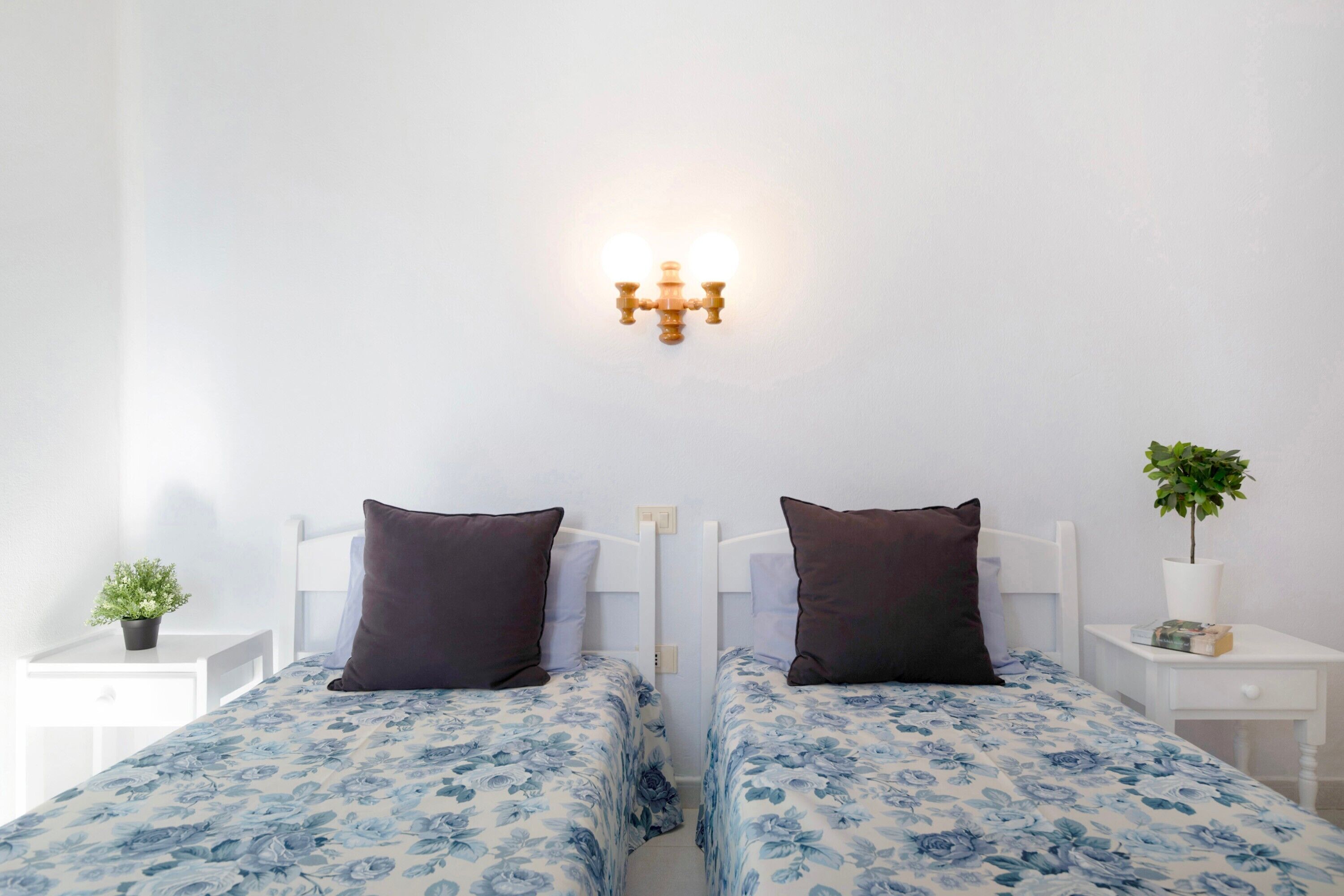 A twin room with two beds, a nightstand with a plant, a wall-mounted light fixture, and a small table with a plant.