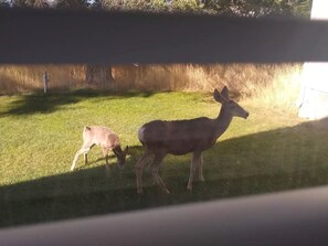 Miscellaneous - the "Granary" hosted by Marilyn and Larry (Manti)