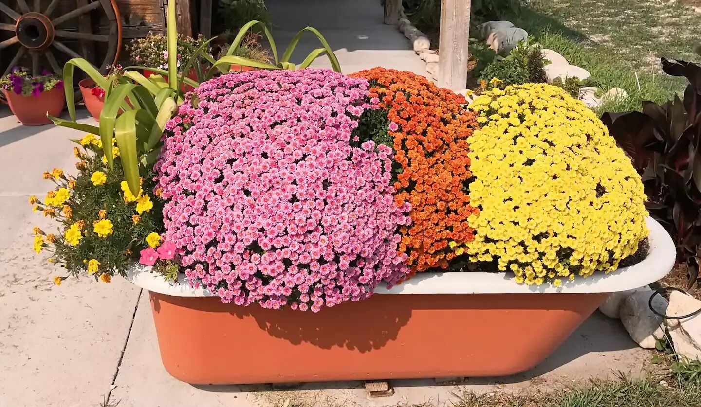 Área da propriedade