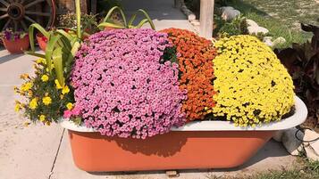 Área da propriedade