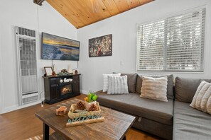 Smart-TV, Kamin, Videospiele, Bücher