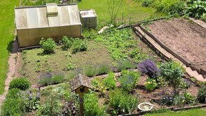 A garden with a wooden structure, a small shed, and a fenced area with various plants. - Apartment "Große" with Mountain View, Terrace & Wi-Fi (Osterode am Harz)