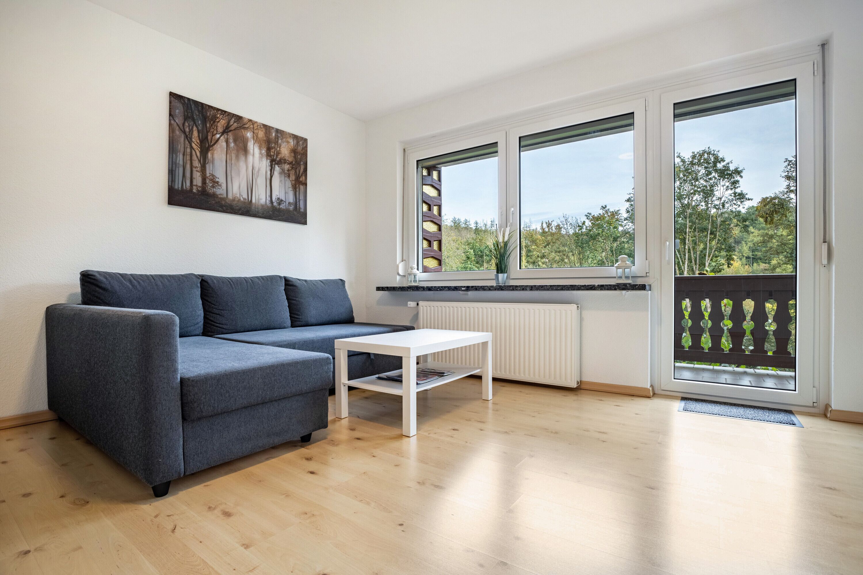 Fernseher, DVD-Player, Stereoanlage