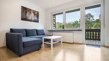 Fernseher, DVD-Player, Stereoanlage