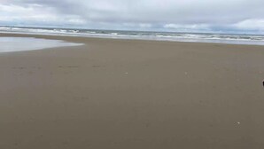 Une plage avec un large rivage sablonneux et un ciel nuageux.