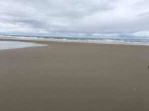 Sun-loungers, beach towels