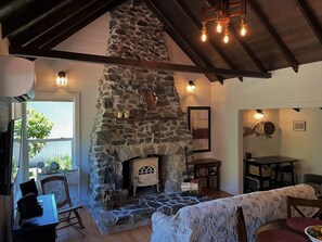 Smart TV, fireplace, books, video library