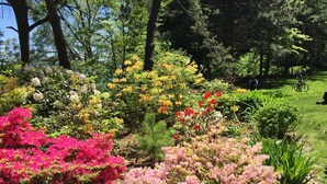 A garden with various flowering shrubs and trees. - Secluded cottage on Seguin river with sauna and screened in porch (Seguin)
