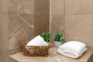 Shower, hair dryer, soap, shampoo