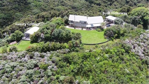 An aerial view of a luxury cottage and a bush hideaway surrounded by dense forest. - Kākā Ridge Retreat Bush Hideaway (Tawharanui Peninsula)