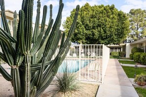 Pool - The Urban Cowboy - Old Town Scottsdale (Scottsdale)
