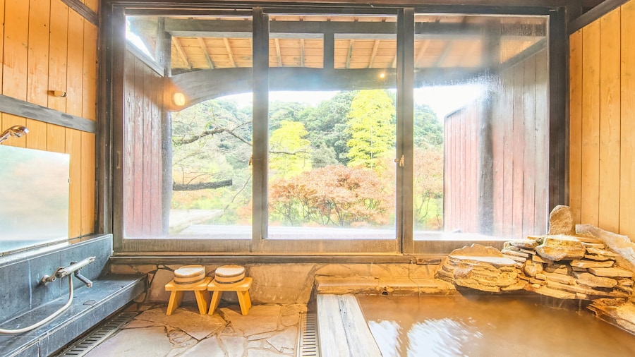 Kirishima Momijidani Seiryuso