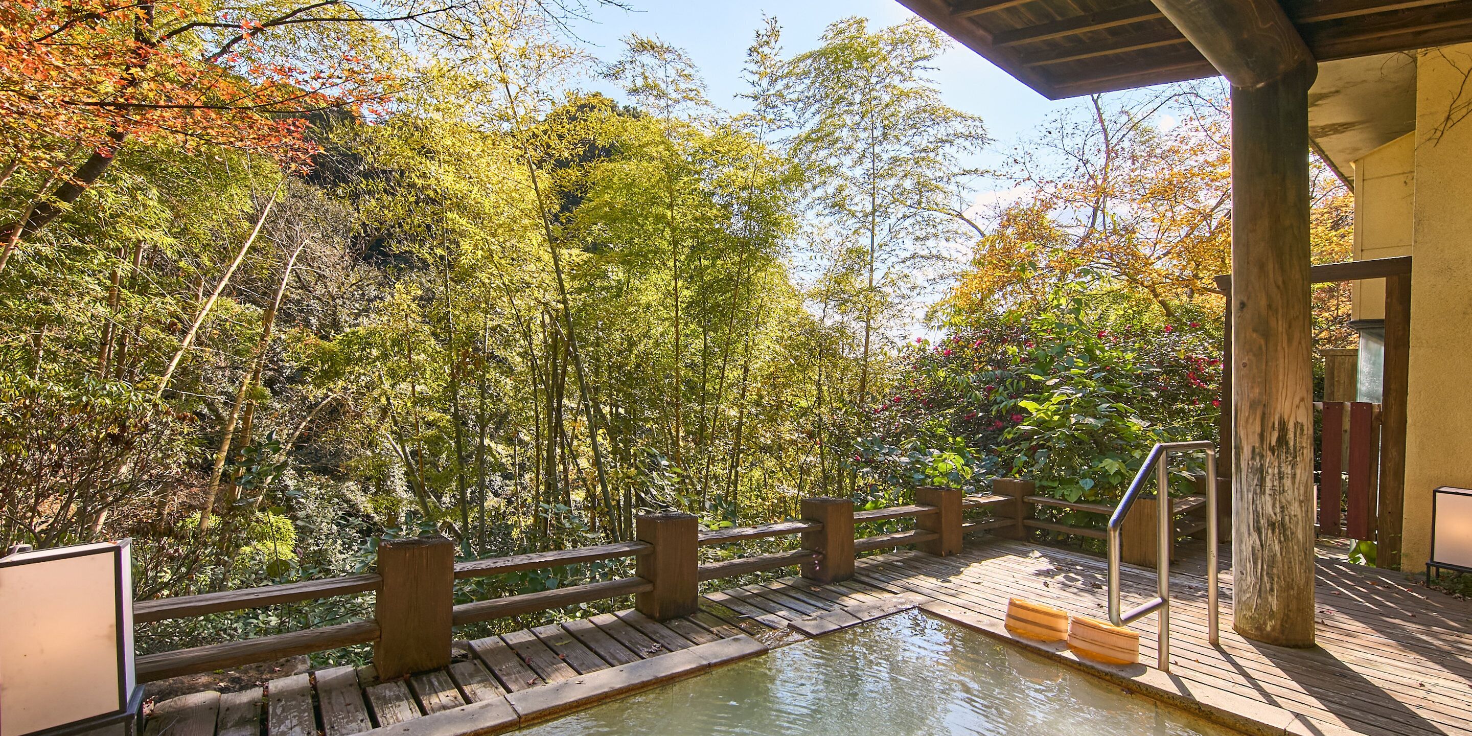 Una terraza de madera con piscina, rodeada de abundante follaje y árboles.