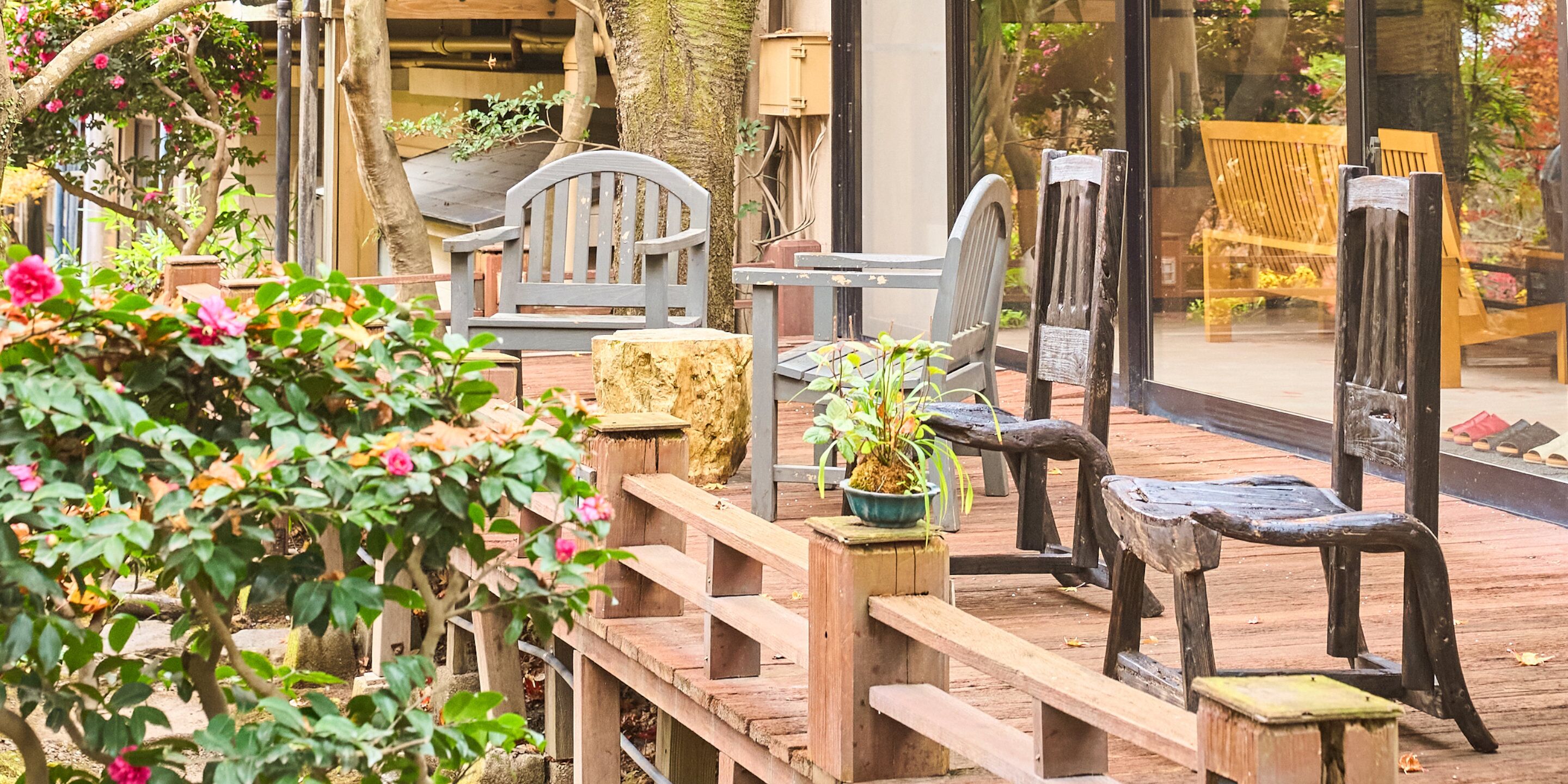 Una terraza de madera con bancos y una planta en maceta.
