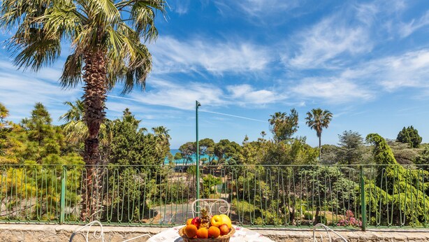 A table with a fruit basket and a metal chair in a garden setting with a view of trees and a fence. - 2349 Villa Mina by Barbarhouse (Melendugno)