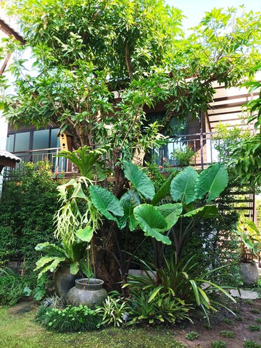 Nine-Kai-Mon Boutique Hotel 