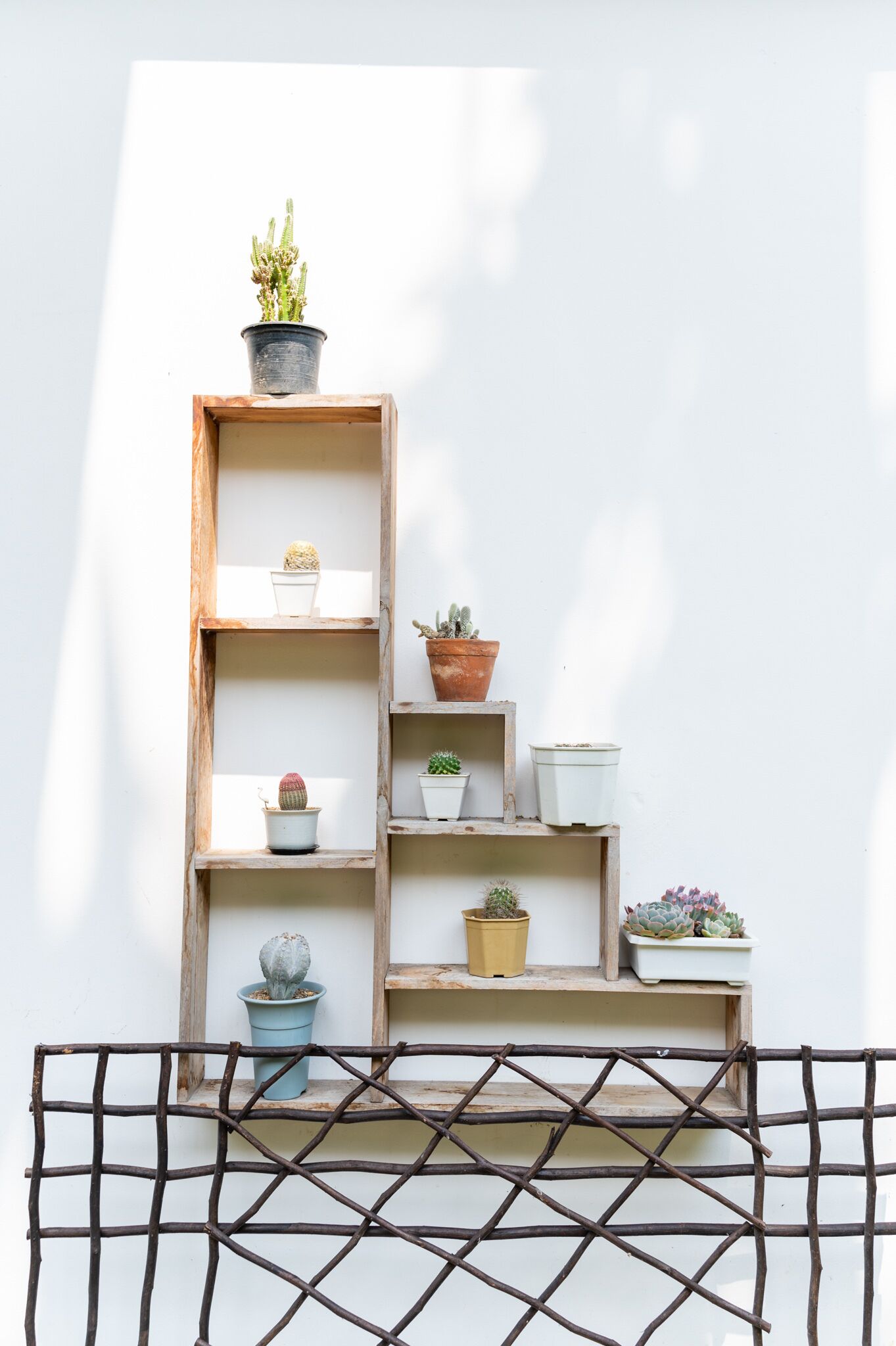 Foto - นายก่ายหมอน Nine-Kai-Mon